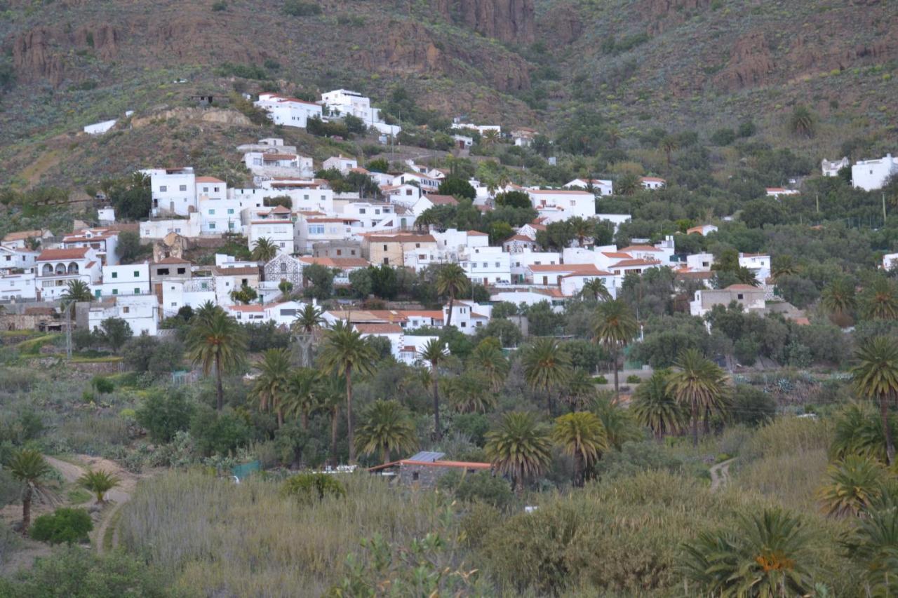 Las Palmeras Temisas Exteriör bild