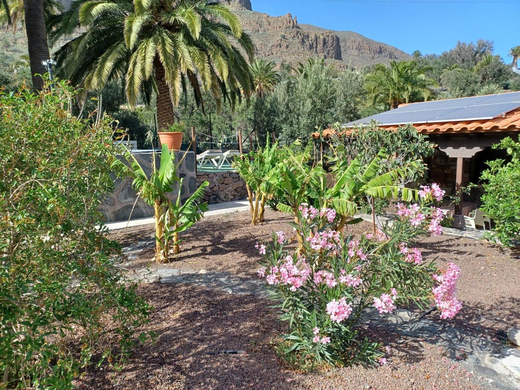 Las Palmeras Temisas Exteriör bild
